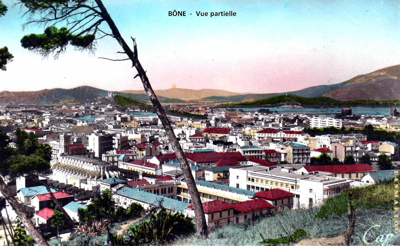 Bone - Vue aerienne partielle.jpg